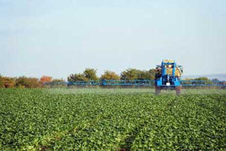 Farmer spraying Pesticides, Herbicides