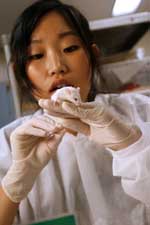 Mouse with Anxiety after Pesticide Exposure