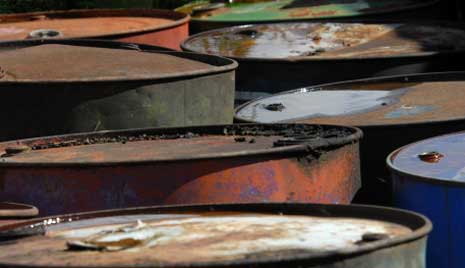 Chemical Contamination affects Generations