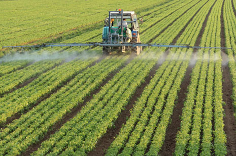 Pesticide Spraying causes health problems