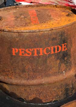 Altes rostiges Fass mit Pestiziden, Umweltgefahr, tickende Zeitbombe