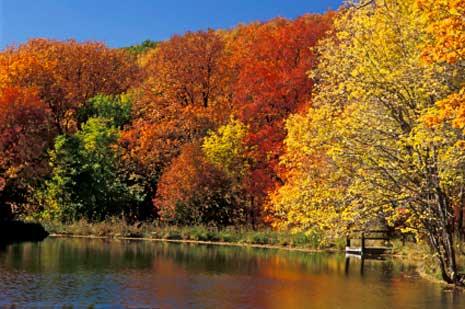 Herbst am See